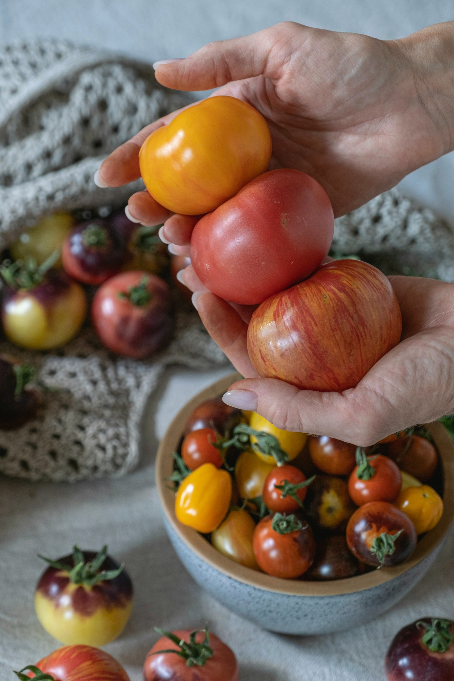 The Journey of an Egg: From Farm to Kitchen