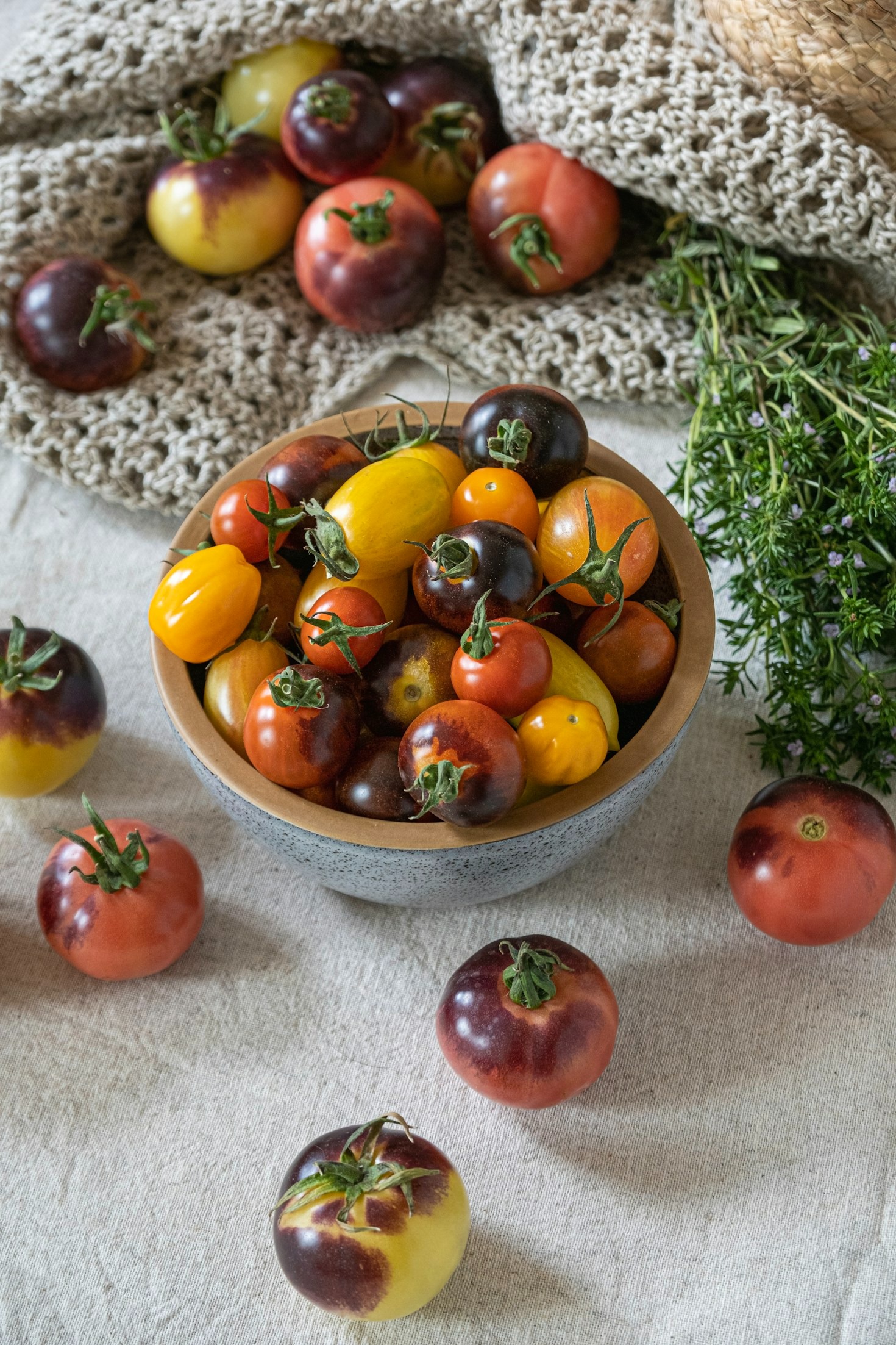 Exploring the Homestead Lifestyle: A Day at Walter’s